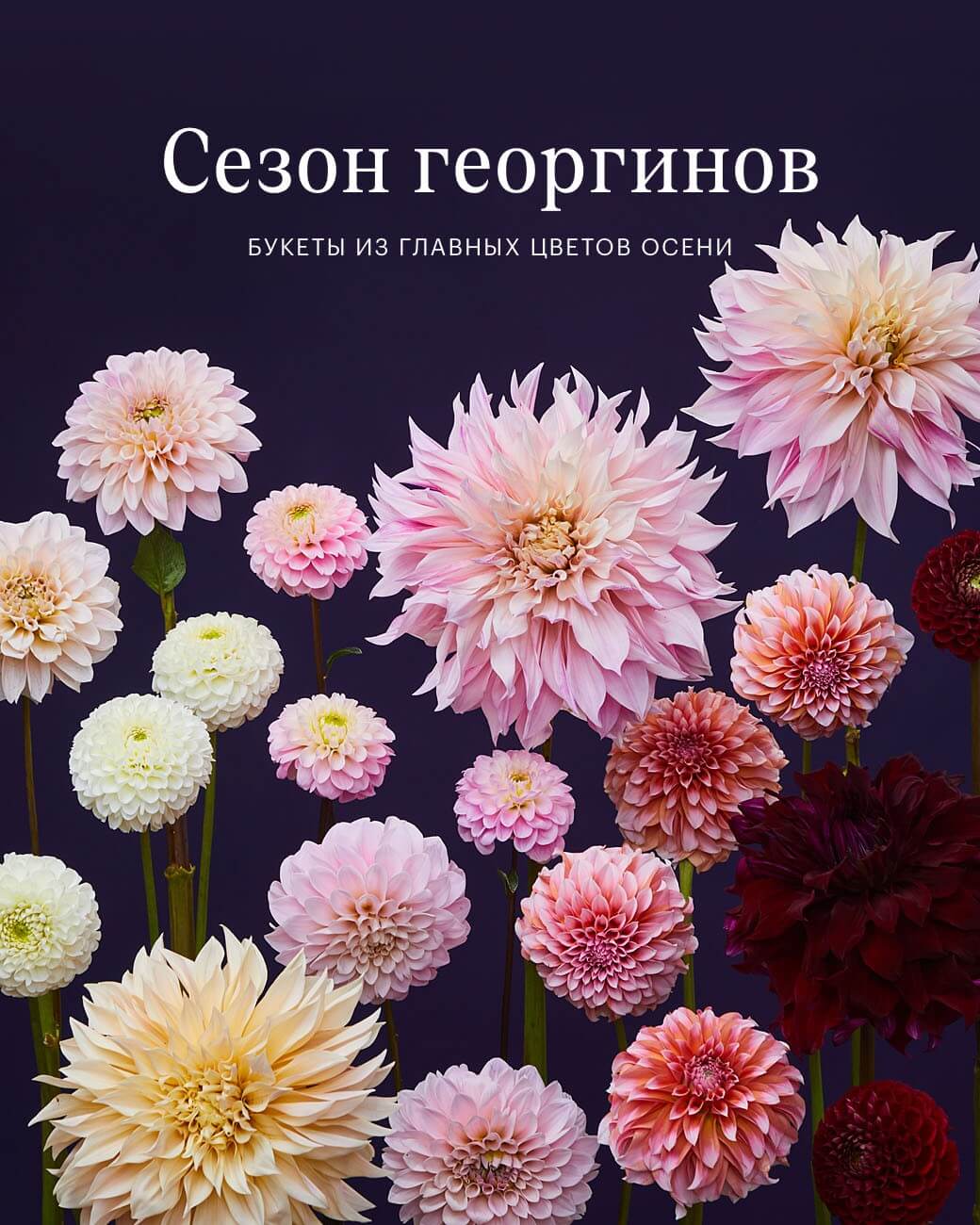 Доставка цветов в Москве бесплатно | Заказать букет цветов с доставкой ...