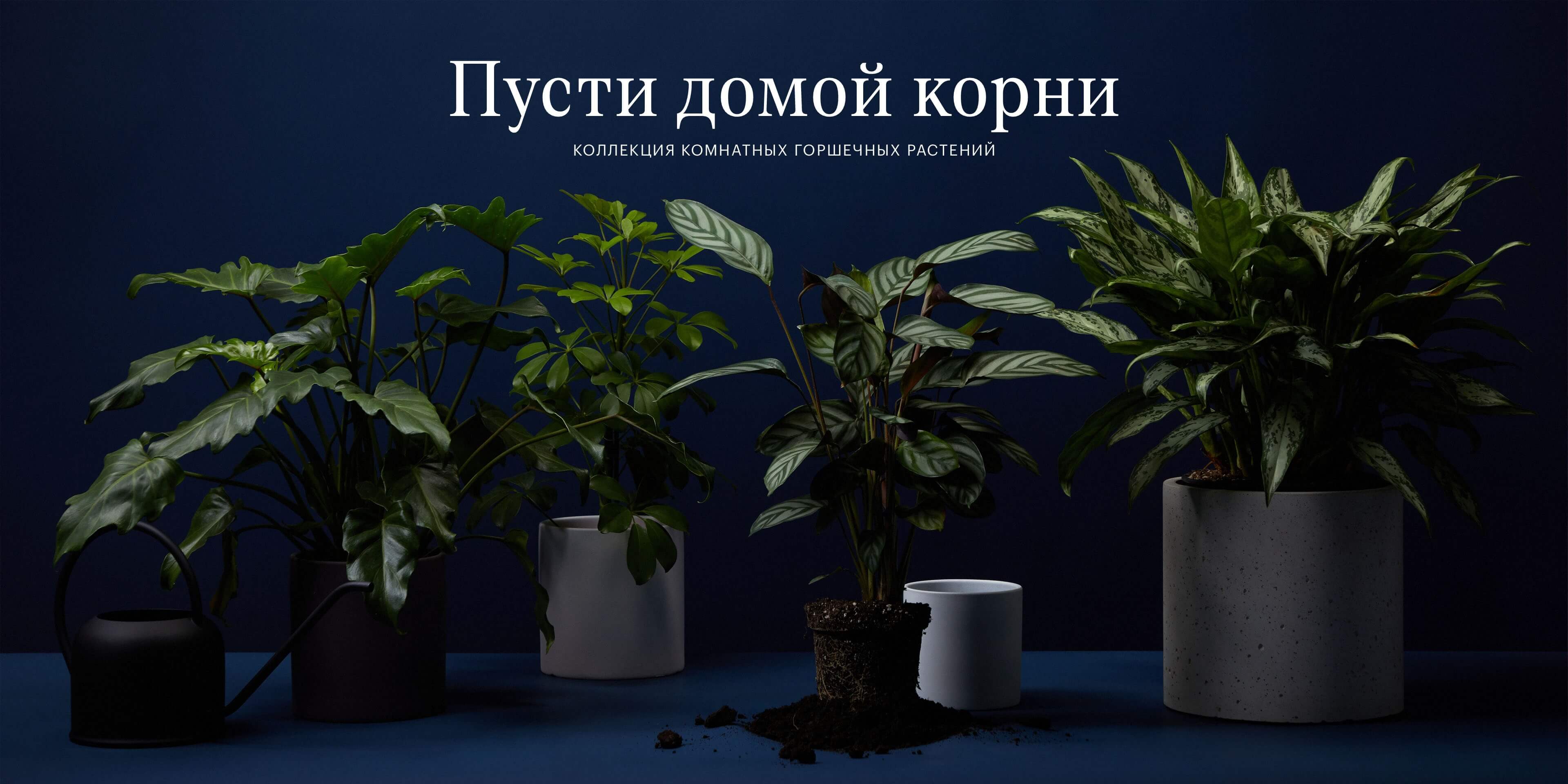 Доставка цветов в Москве бесплатно | Заказать букет цветов с доставкой ...