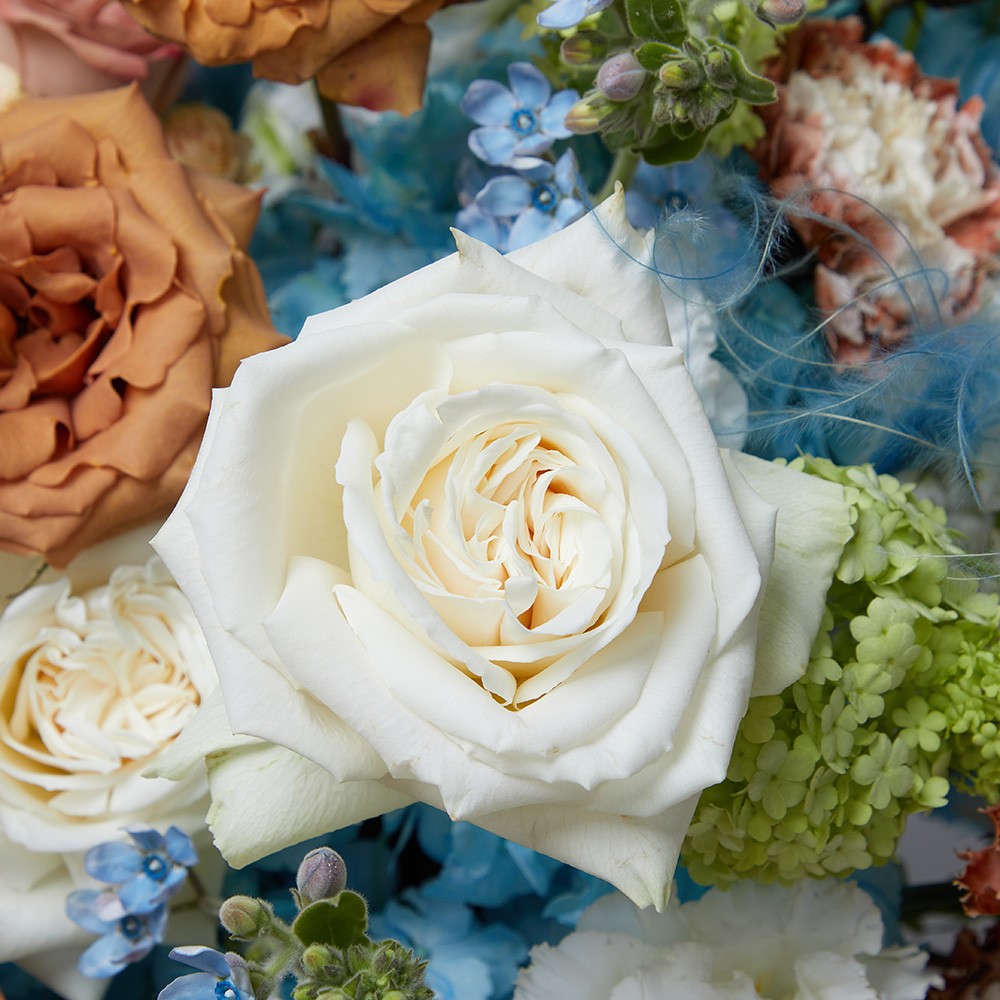 Basket 003 Basket 003