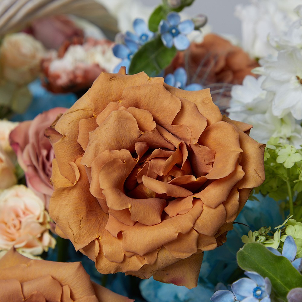 Basket 003 Basket 003