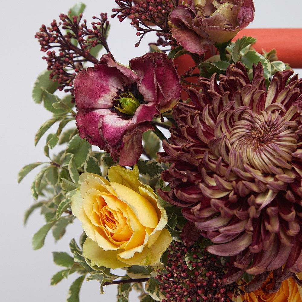 Capsule 040 Capsule 040