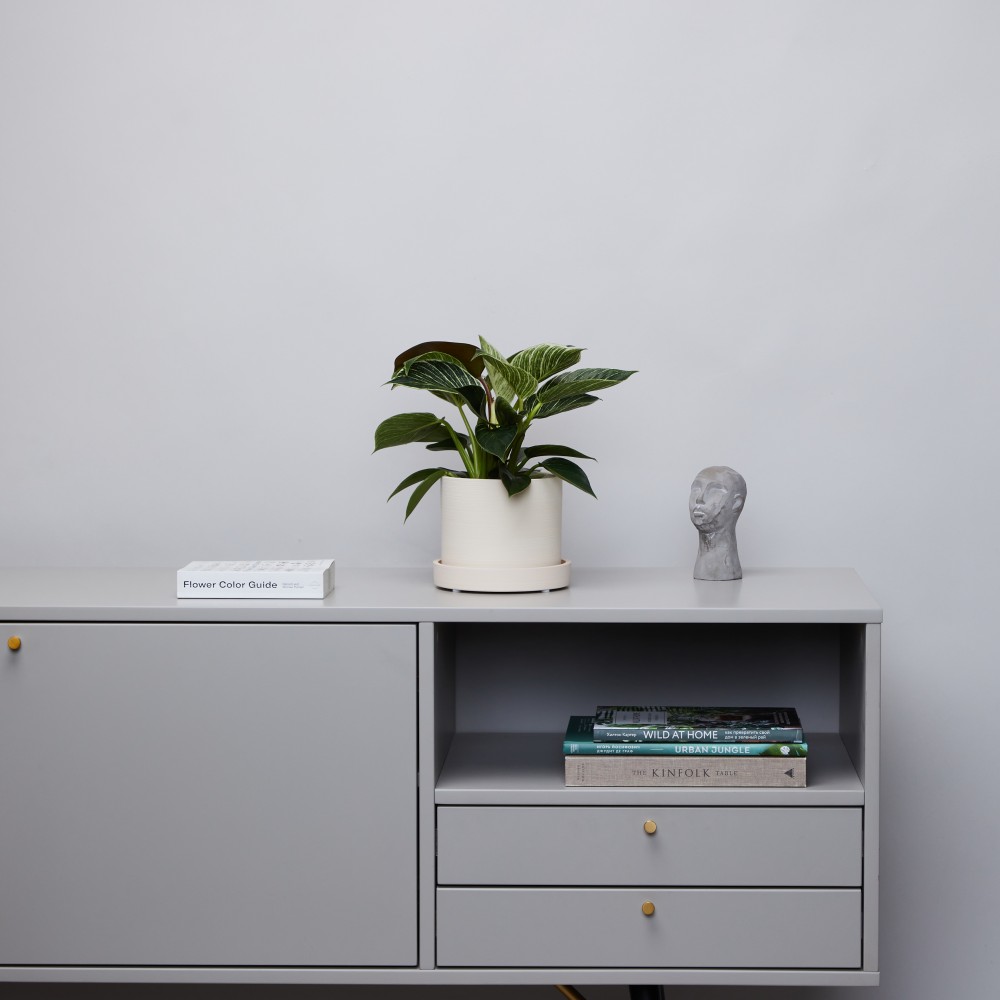 Горшок d14 Cream с пересадкой