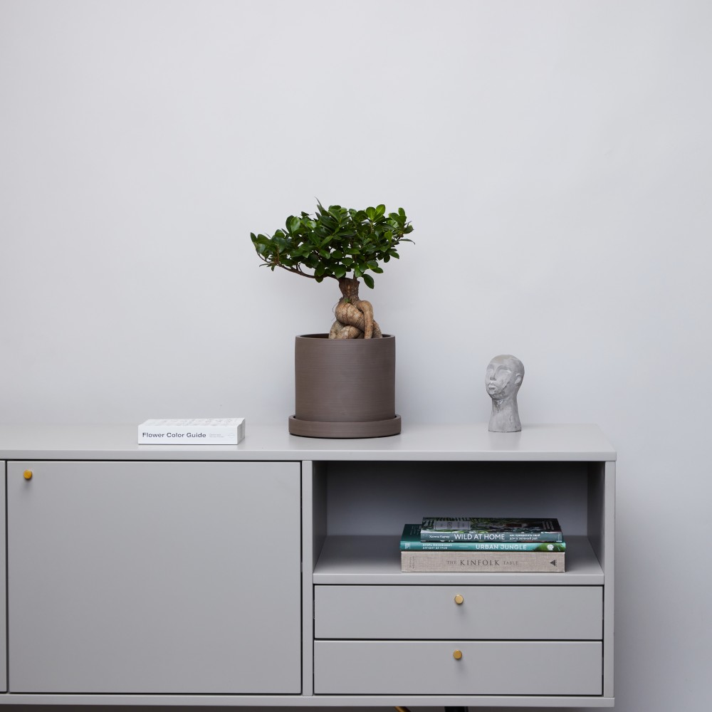 Горшок d18 Chocolate Горшок d18 Chocolate