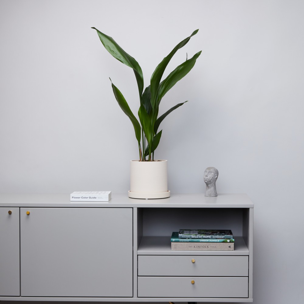 Горшок d18 Cream Горшок d18 Cream