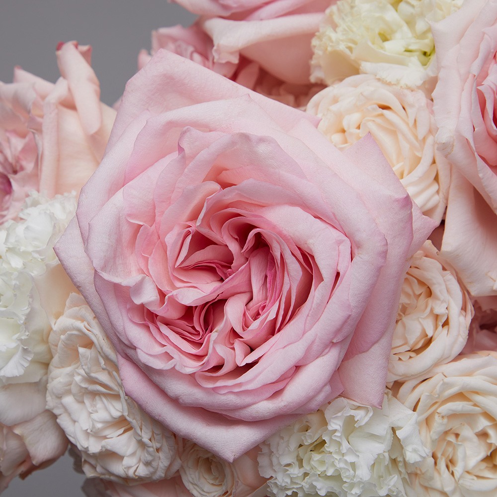 Wedding 007 Wedding 007