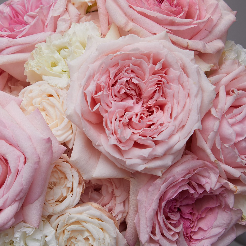 Wedding 007 Wedding 007