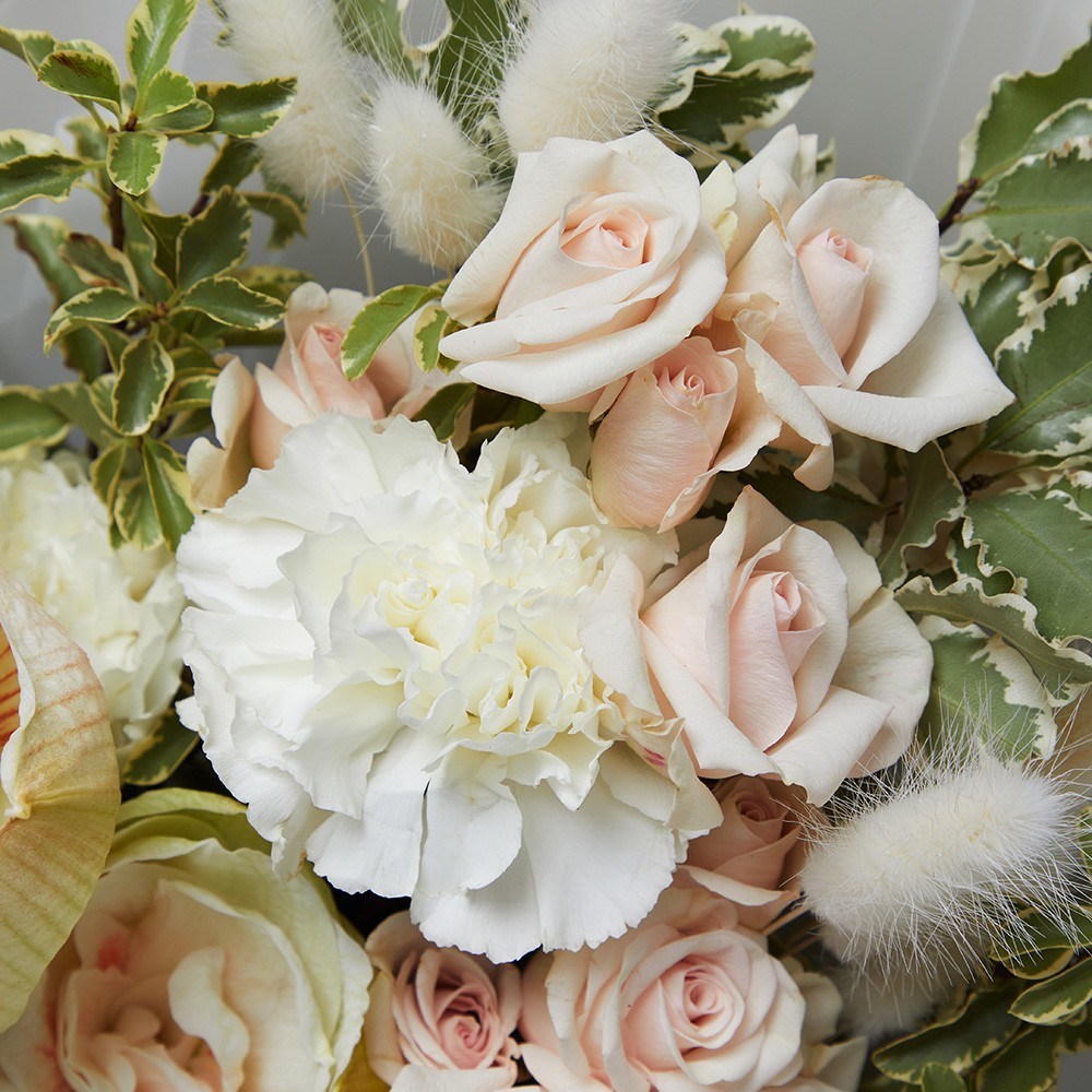 Capsule 044 Capsule 044