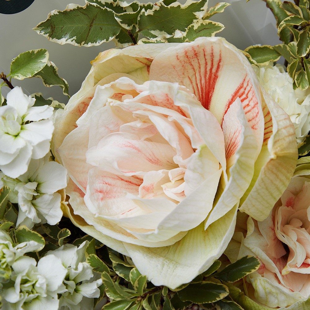 Capsule 044 Capsule 044