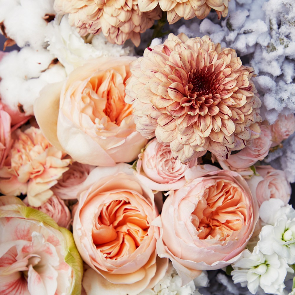 Bouquet 008 Bouquet 008