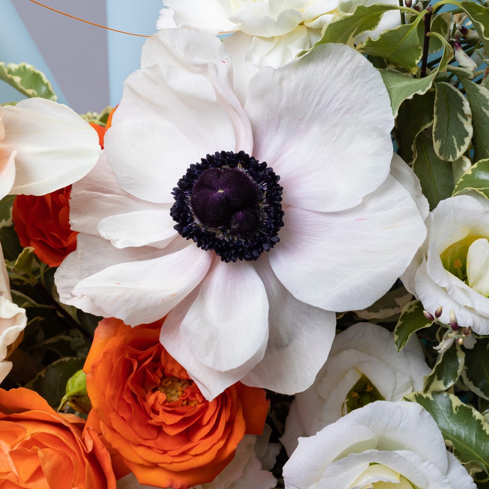 Capsule 014 Capsule 014