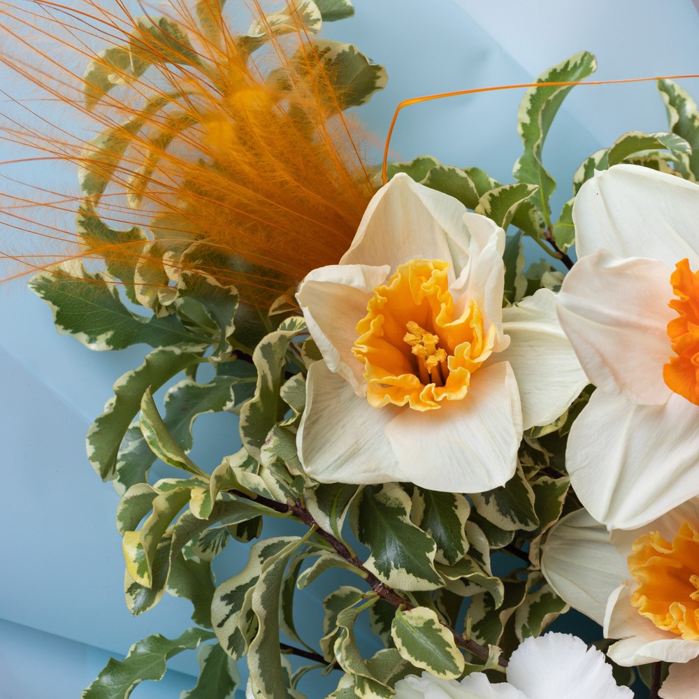 Capsule 014 Capsule 014