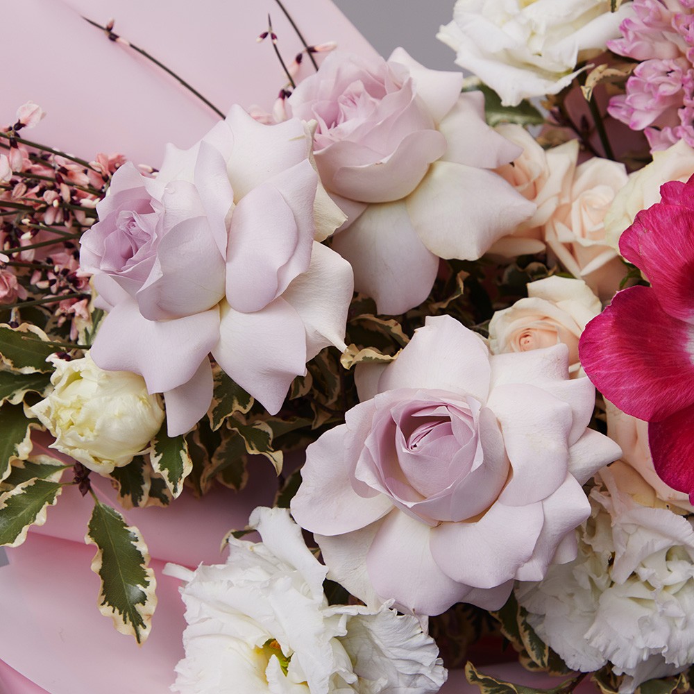 Capsule 007 Capsule 007