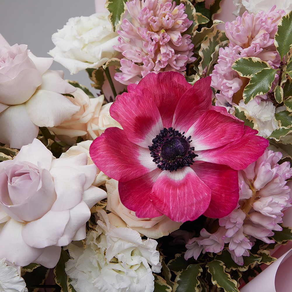 Capsule 007 Capsule 007