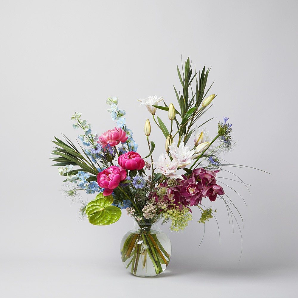 Interior 002 Interior 002