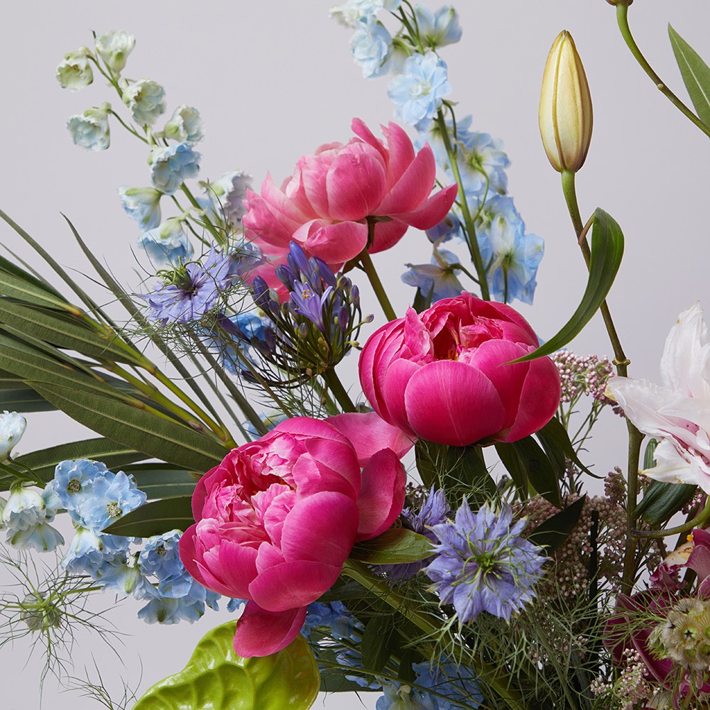 Interior 002 Interior 002