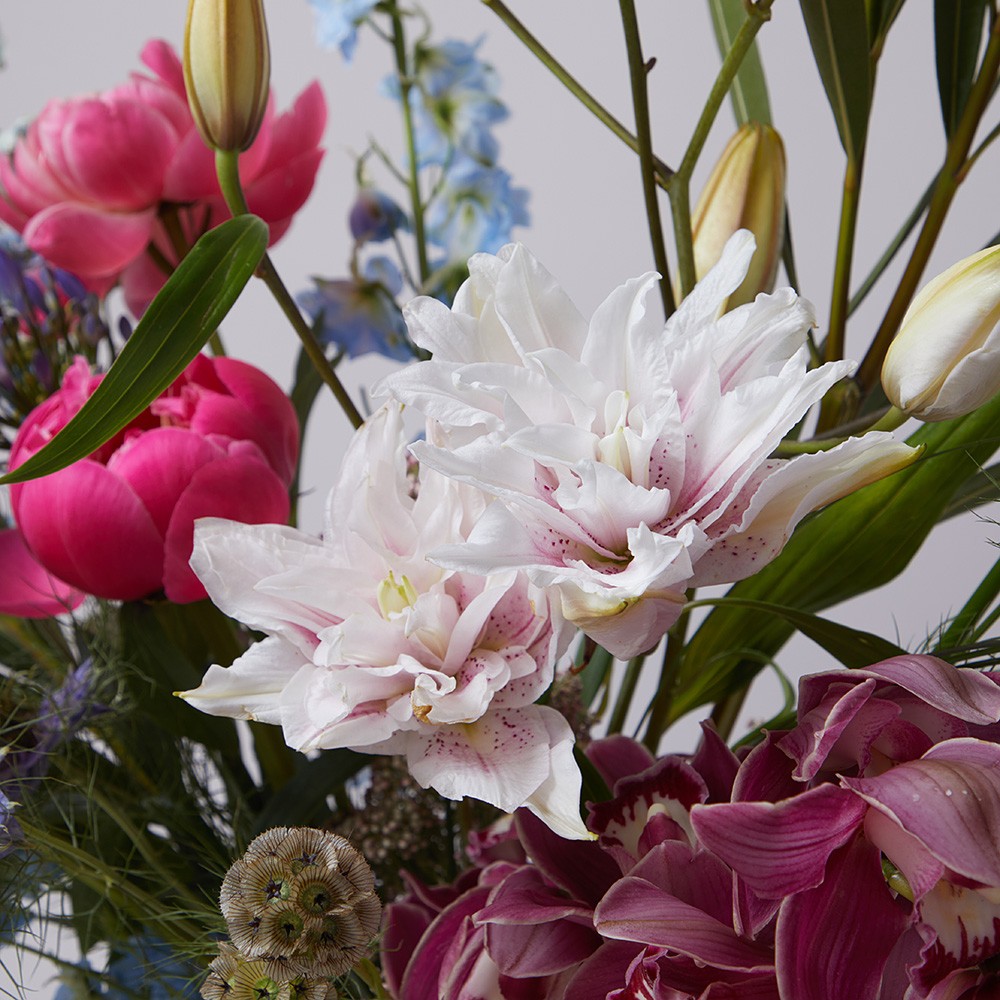 Interior 002 Interior 002