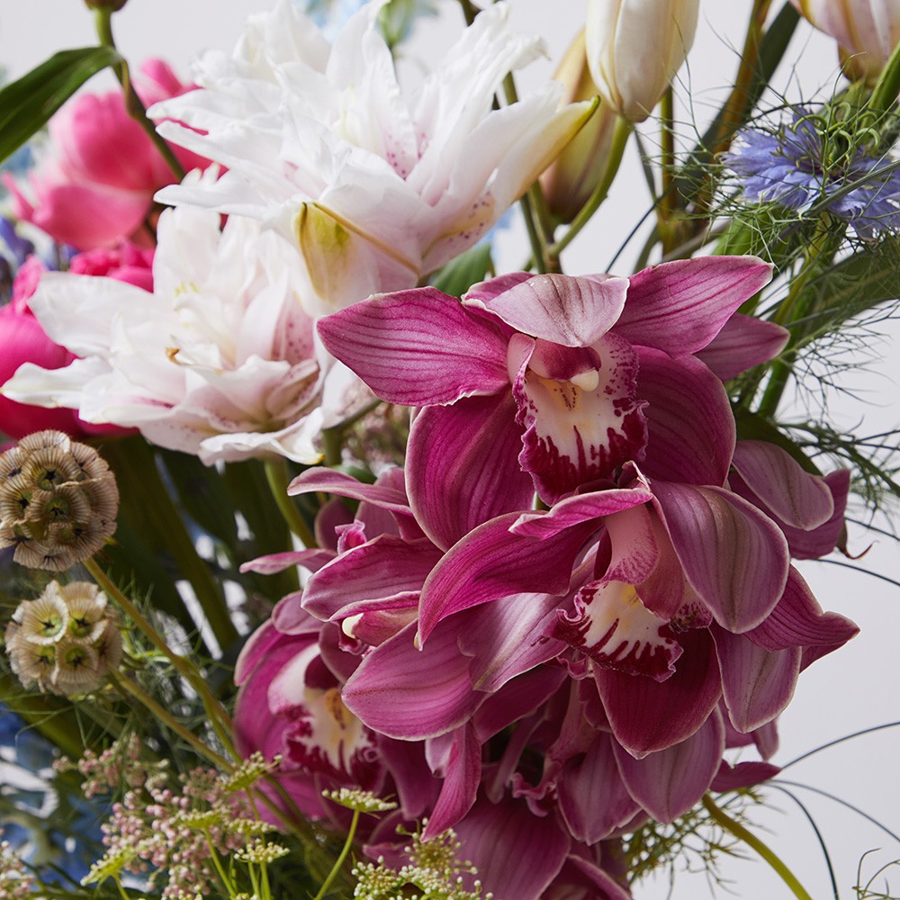 Interior 002 Interior 002