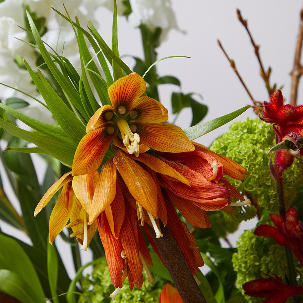 Interior 003 Interior 003