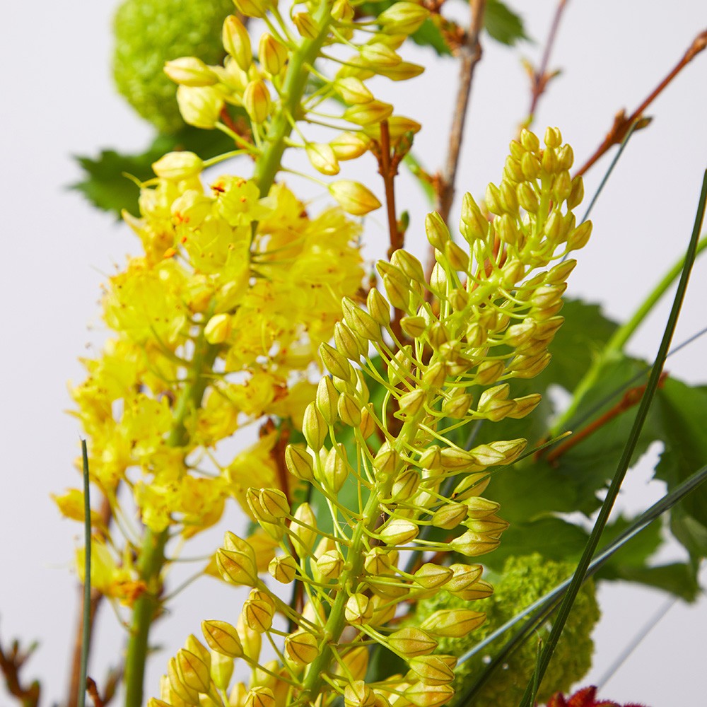 Interior 003 Interior 003