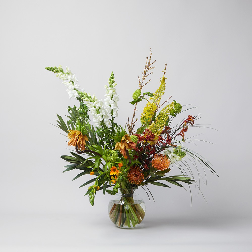 Interior 003 Interior 003