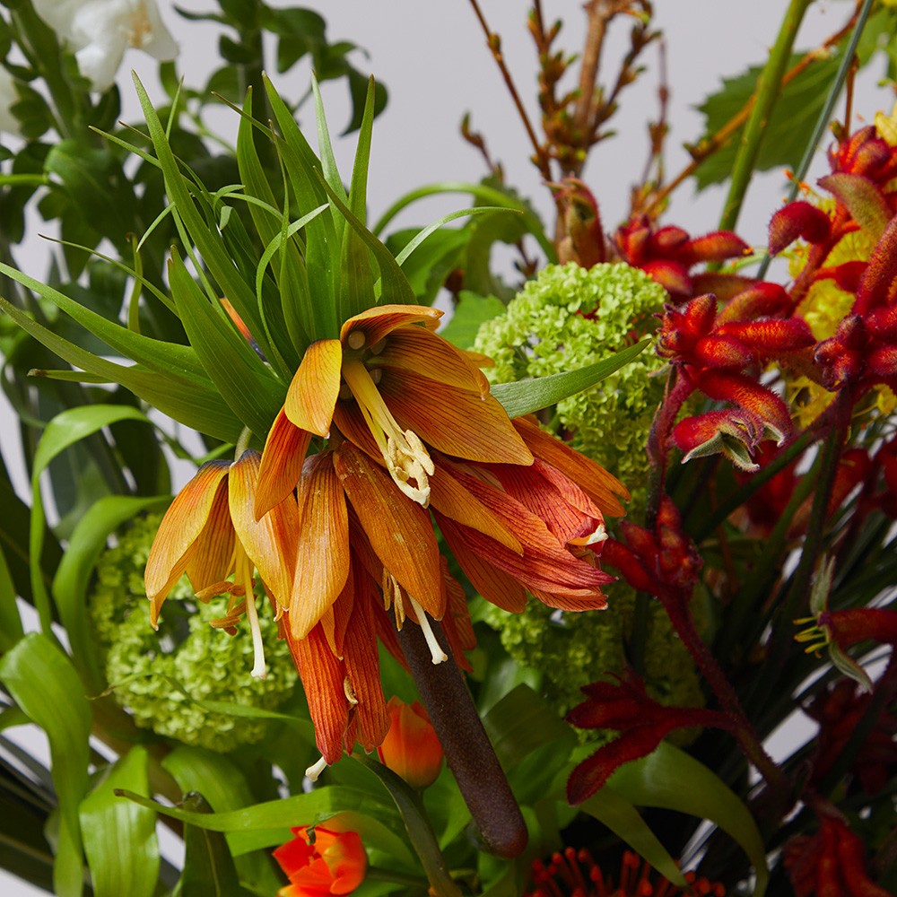 Interior 003 Interior 003