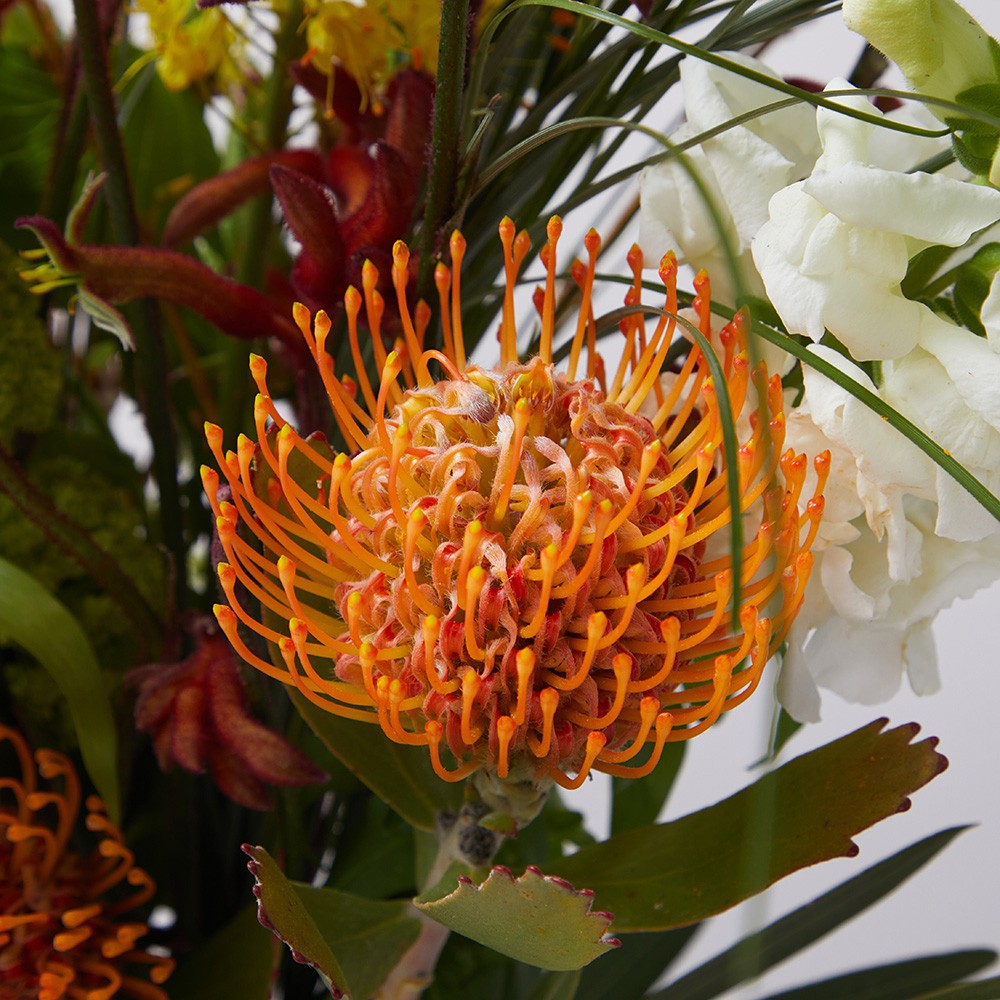 Interior 003 Interior 003