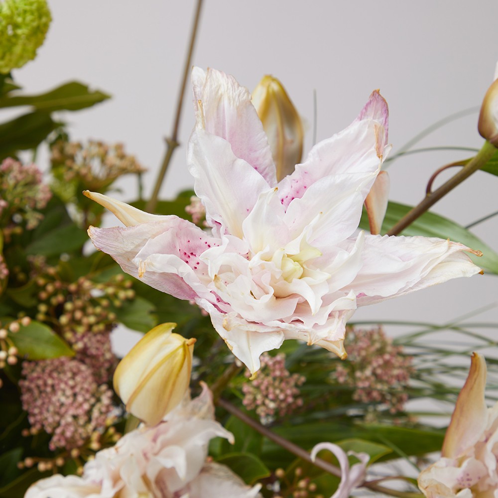 INTERIOR 004 INTERIOR 004