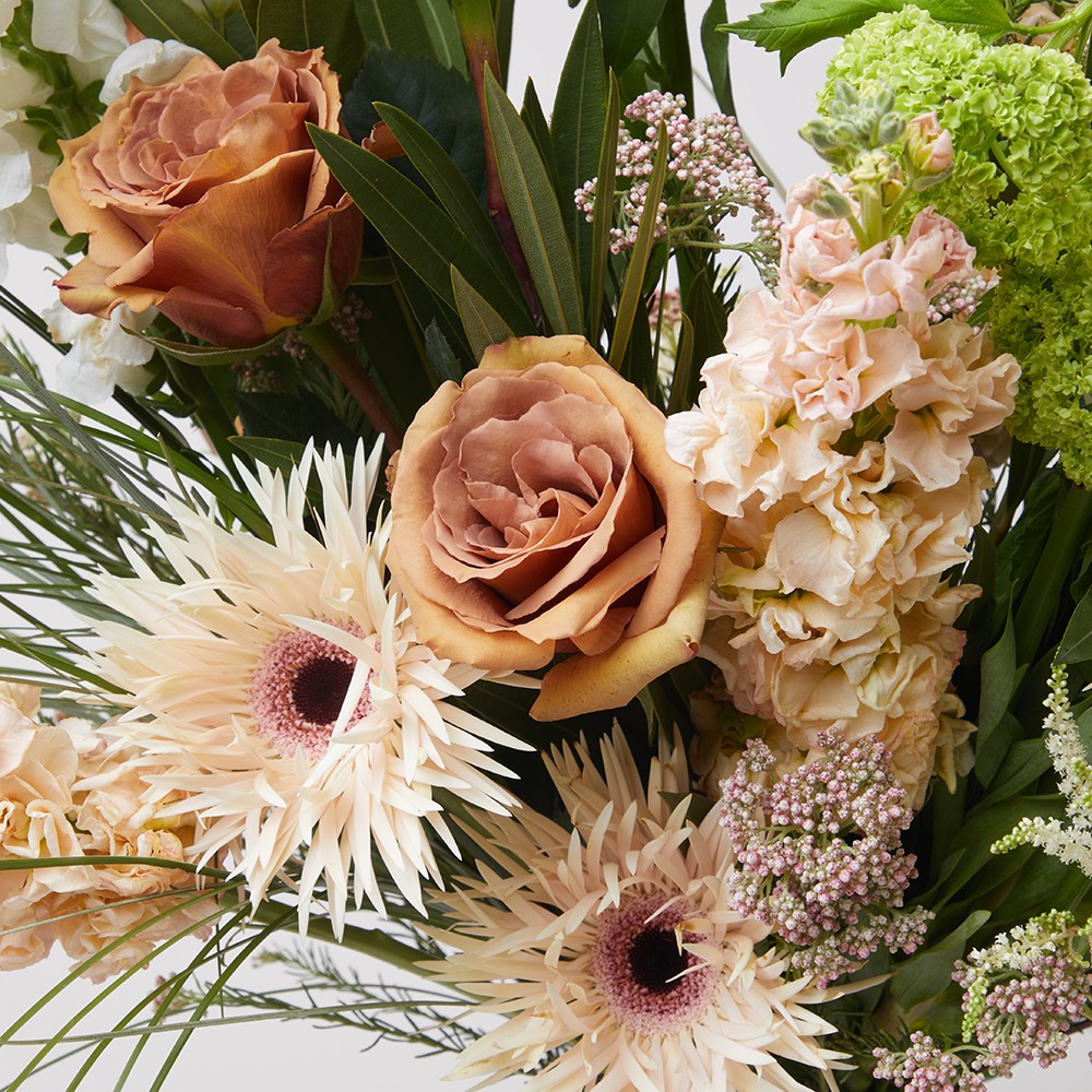 Interior 005 Interior 005