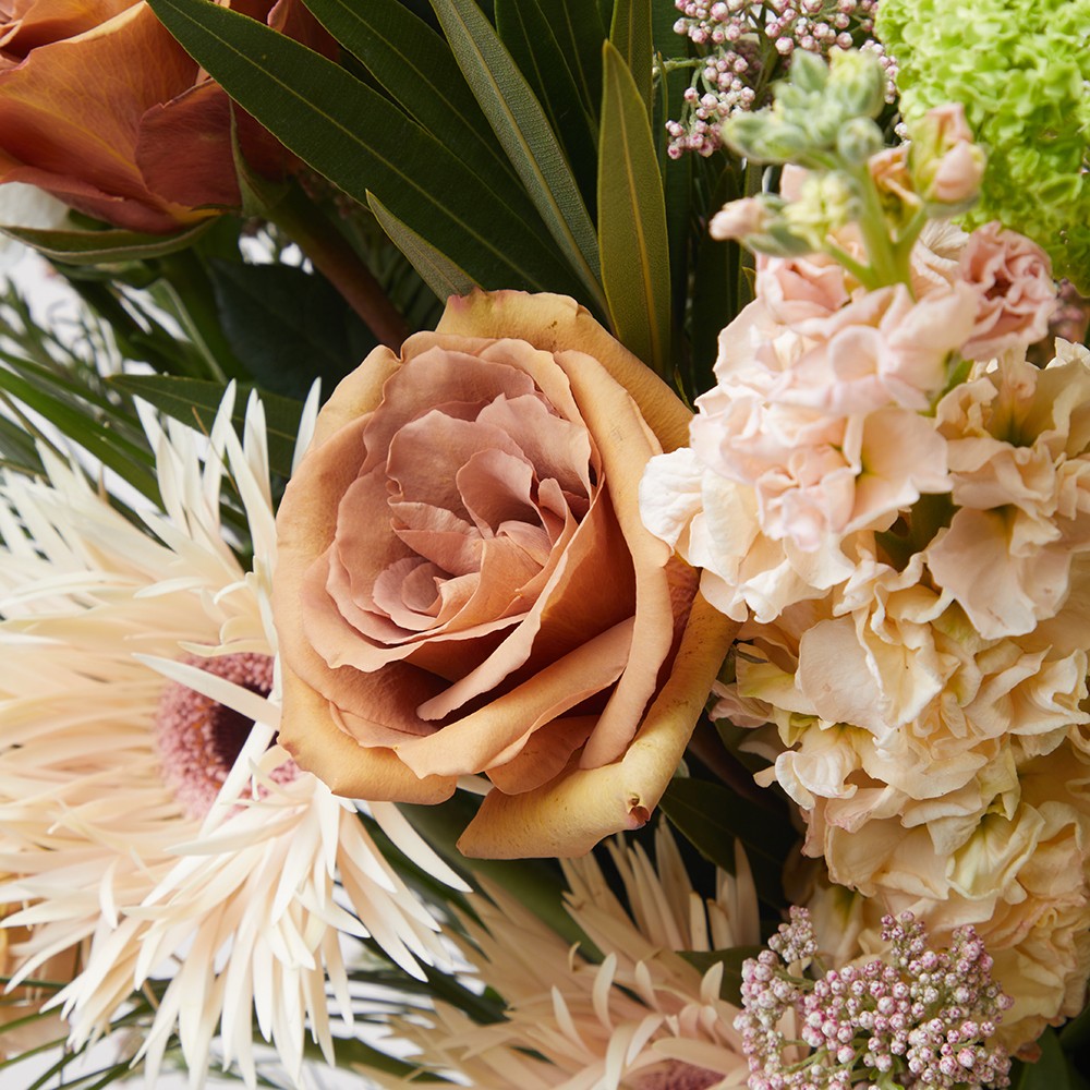 Interior 005 Interior 005