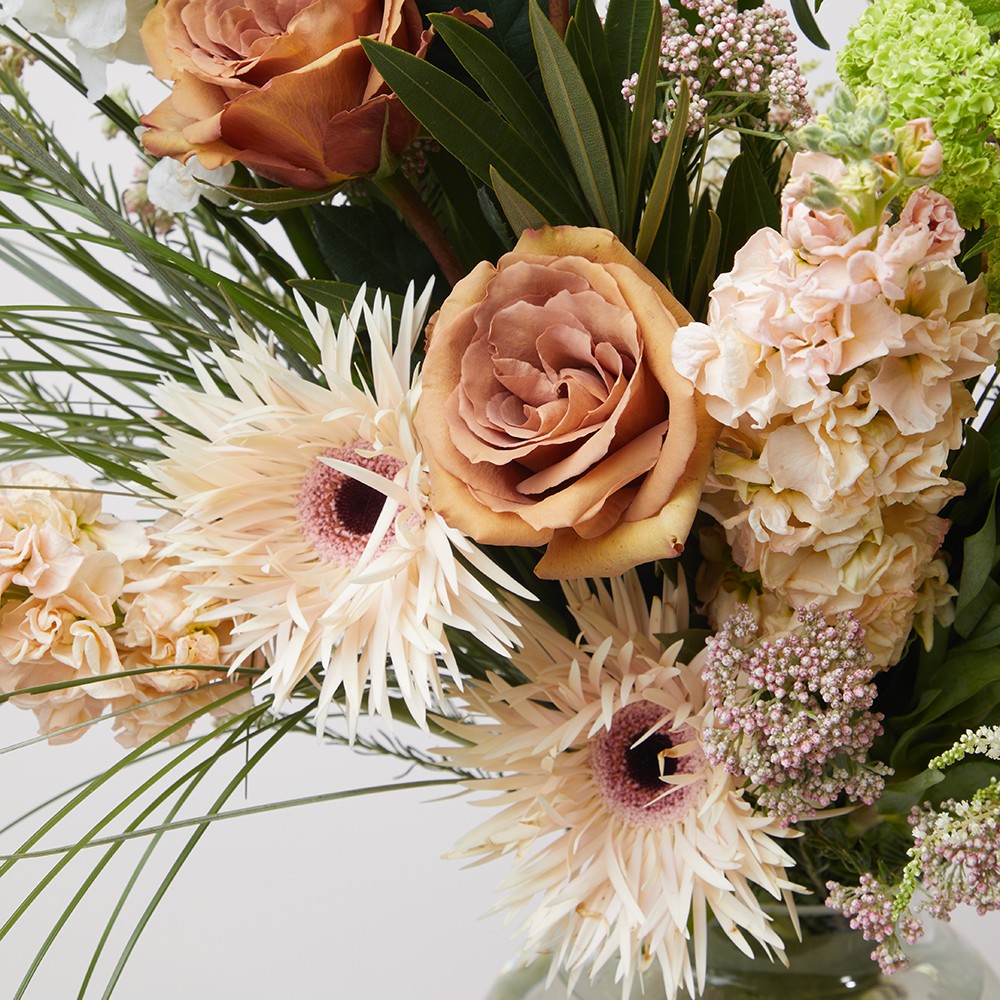 Interior 005 Interior 005