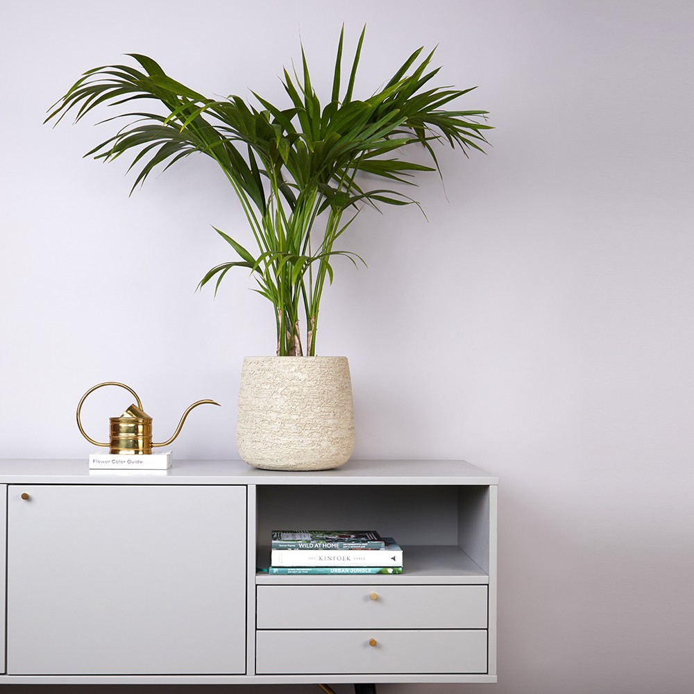 Кашпо Texture d24