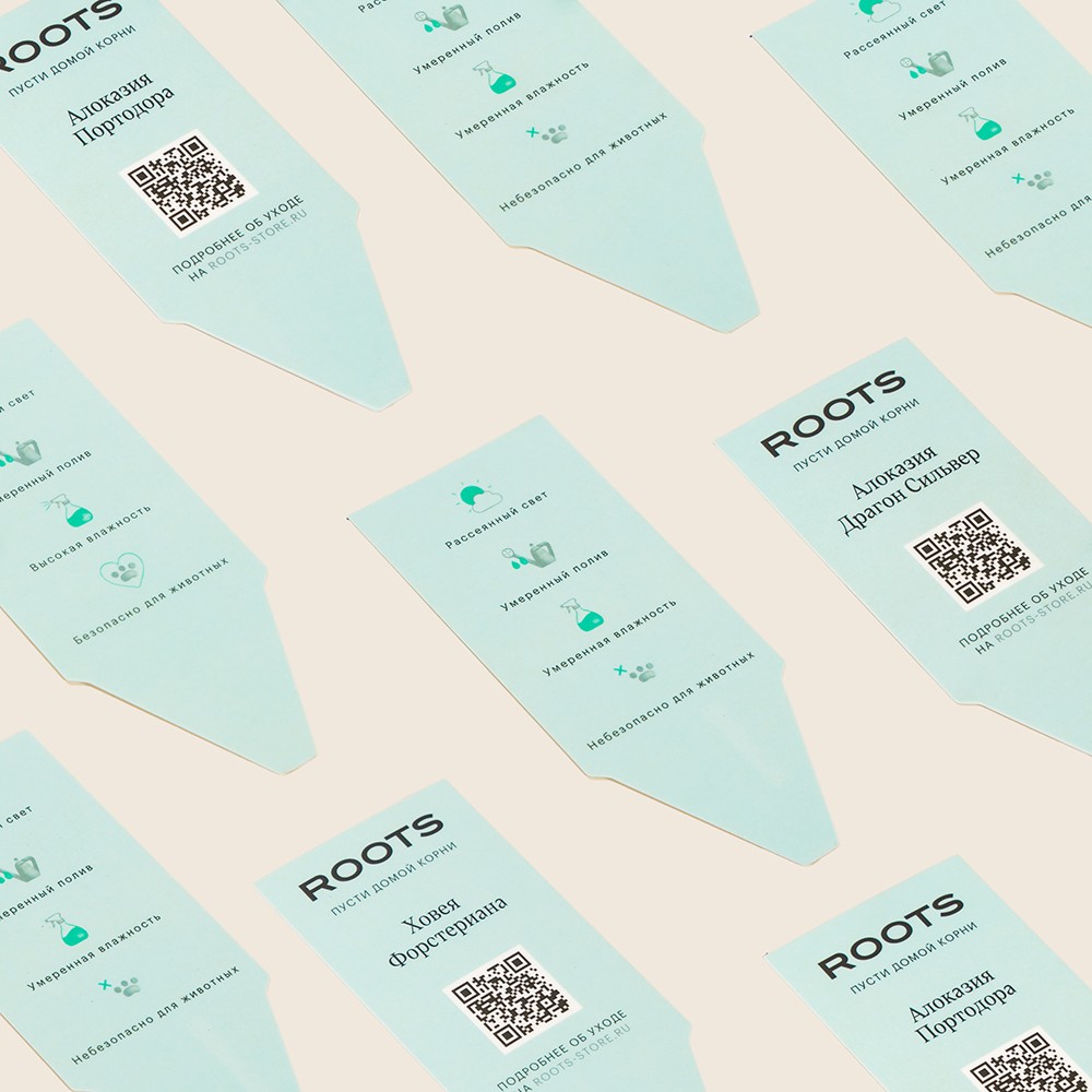 Филодендрон Ксанаду Филодендрон Ксанаду