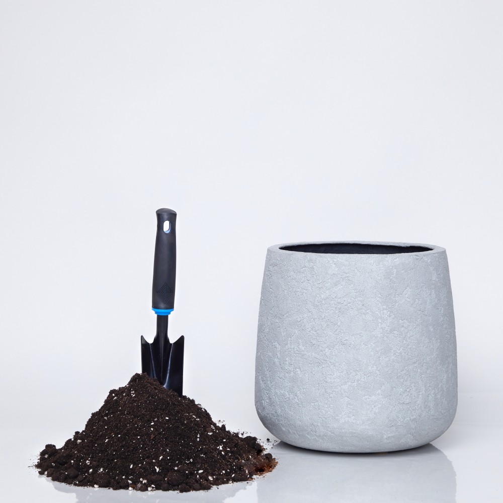 Пересадка растения d21