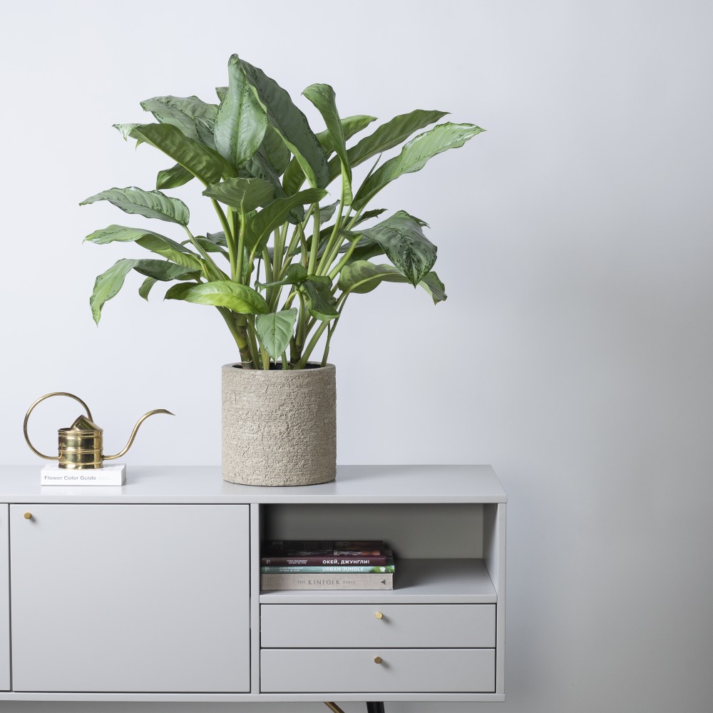 Кашпо цилиндр d24 Texture