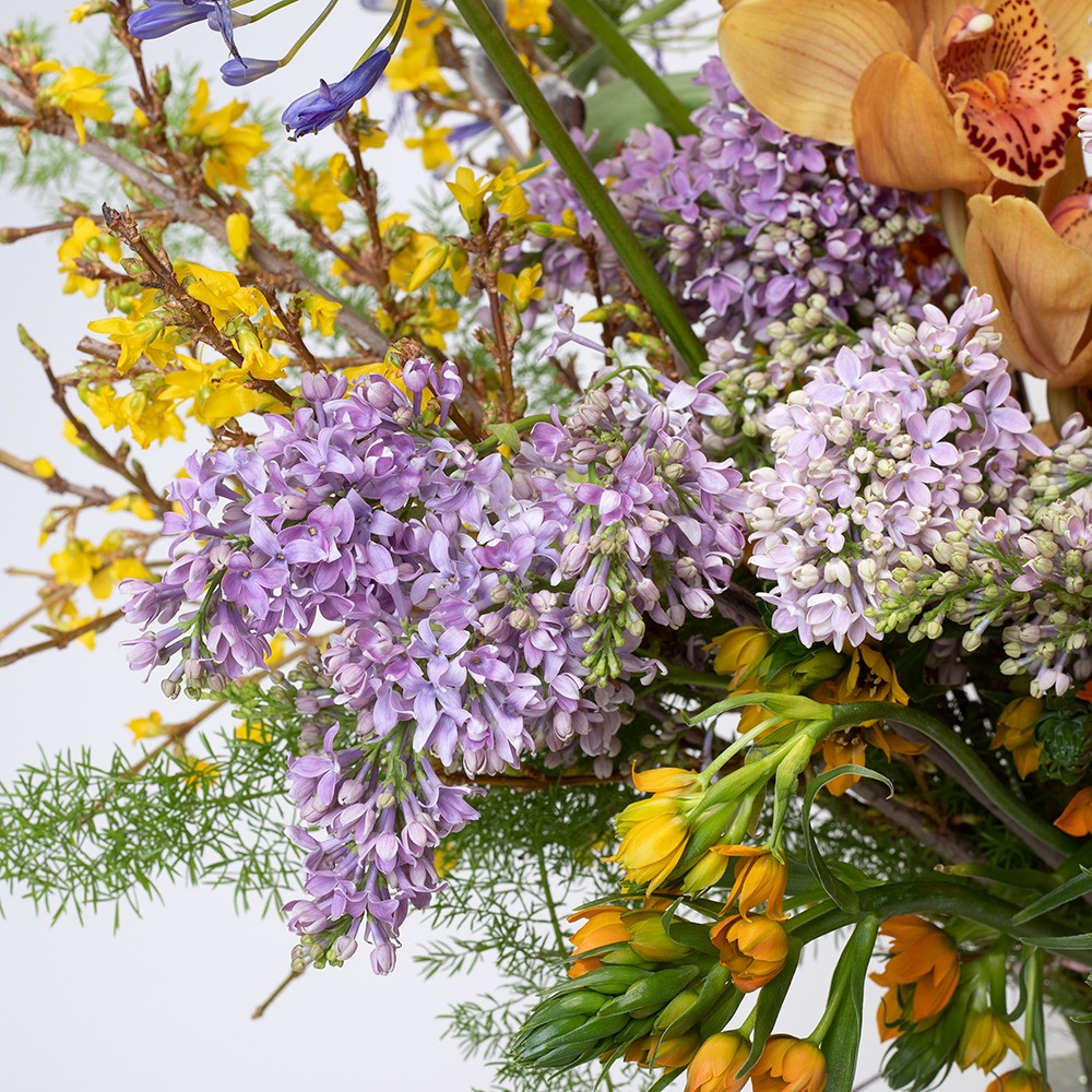 Interior 013 Interior 013