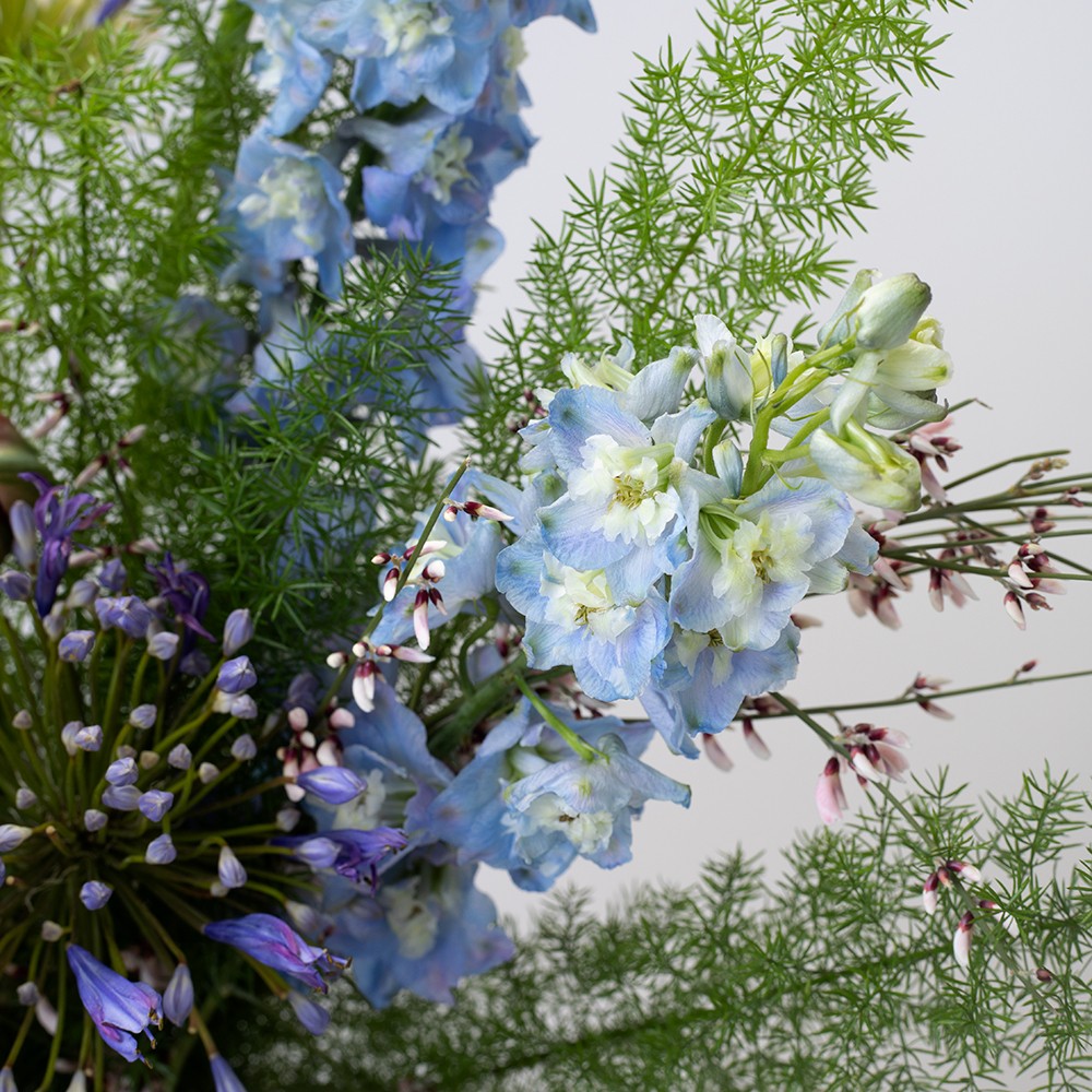 Interior 013 Interior 013