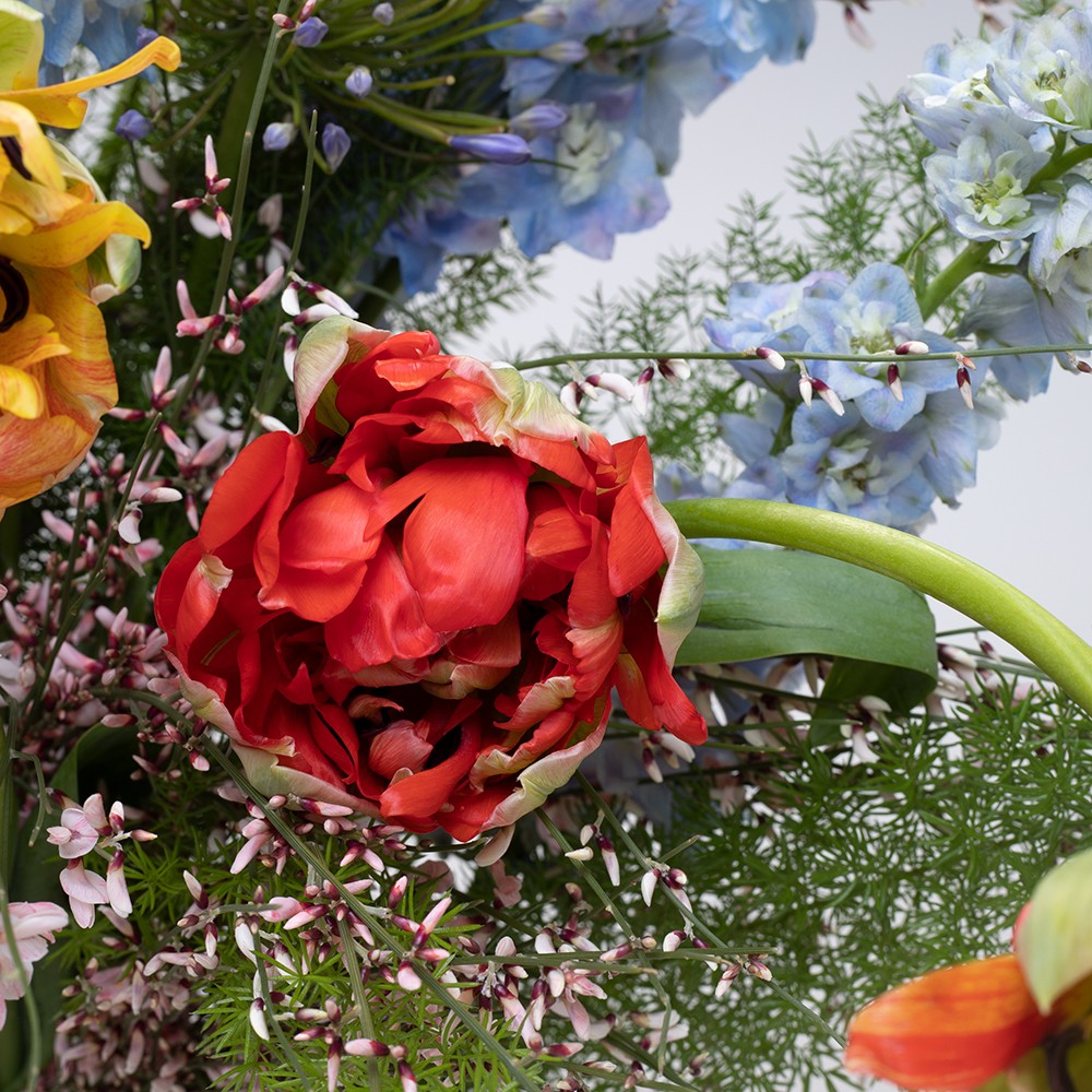 Interior 013 Interior 013