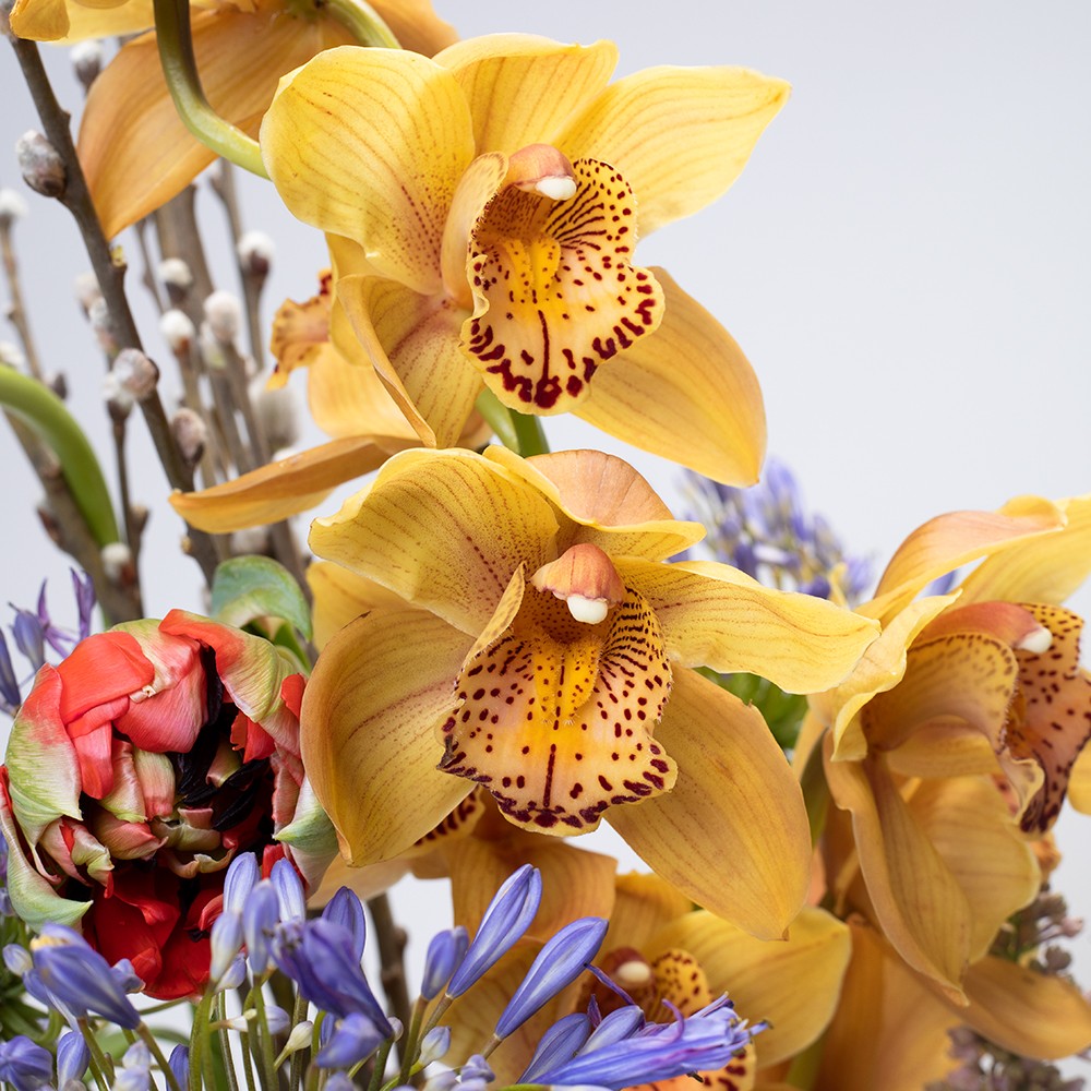 Interior 013 Interior 013