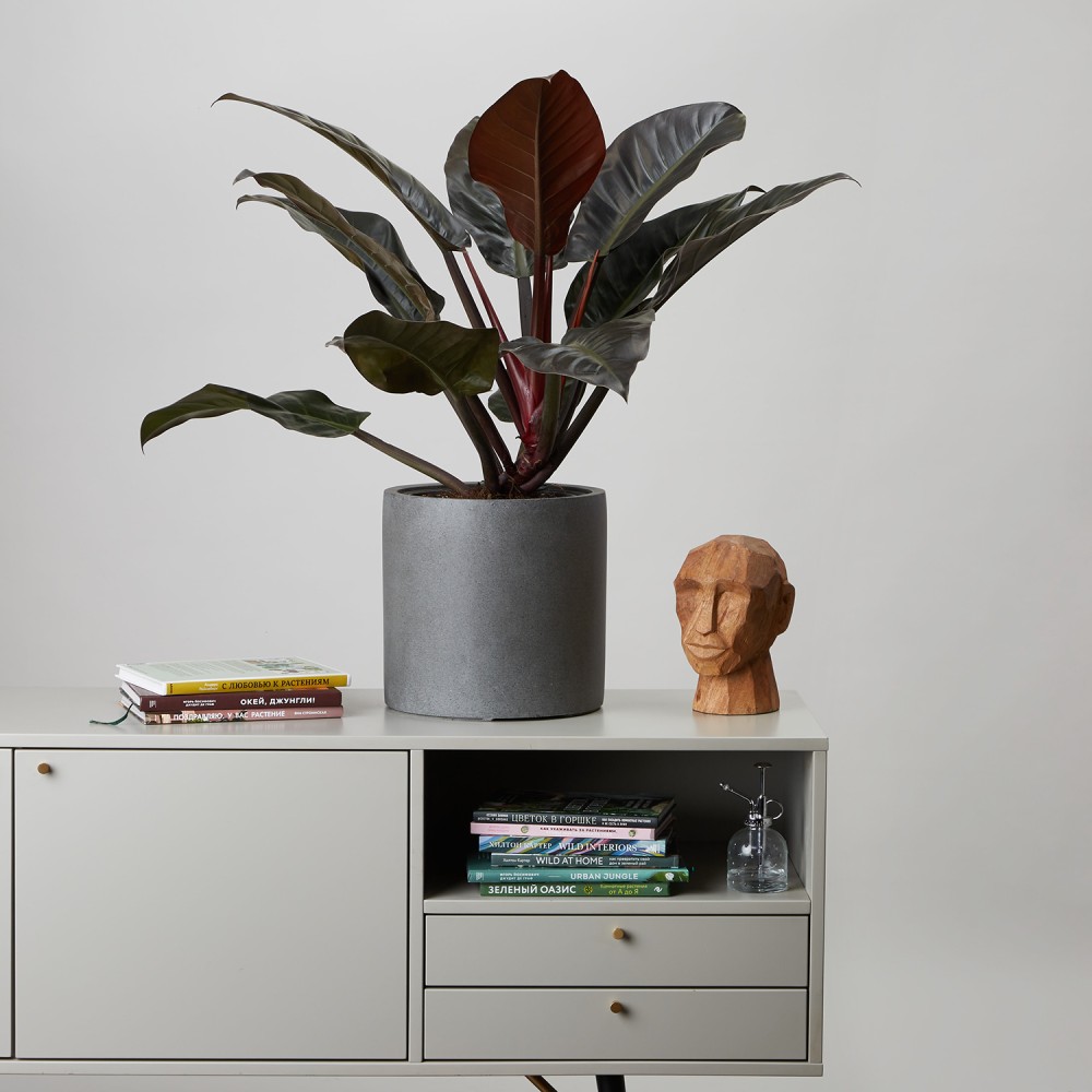 Кашпо Цилиндр Темно-серый бетон d23