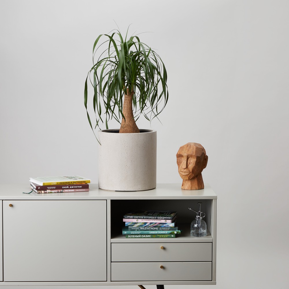 Кашпо Цилиндр Белый песок d23