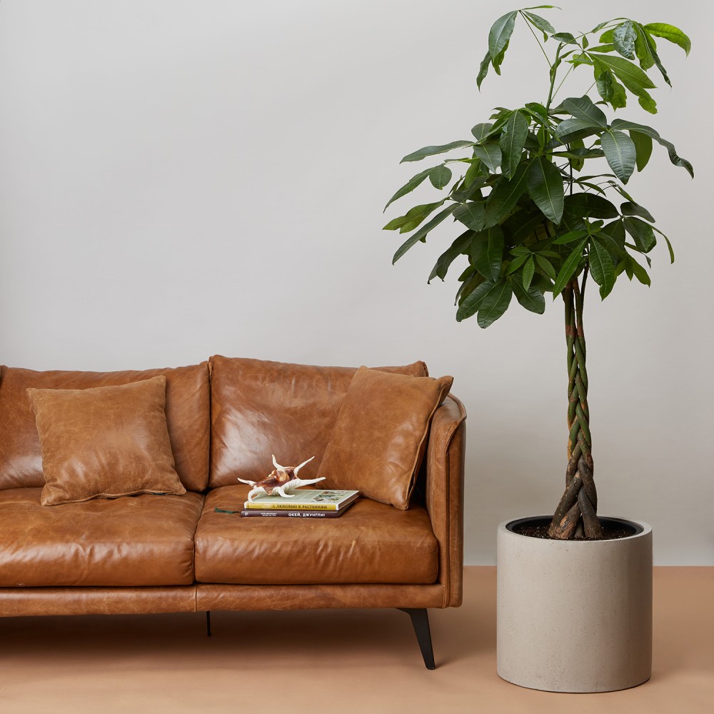 Кашпо Цилиндр Белый песок d32 Кашпо Цилиндр Белый песок d32