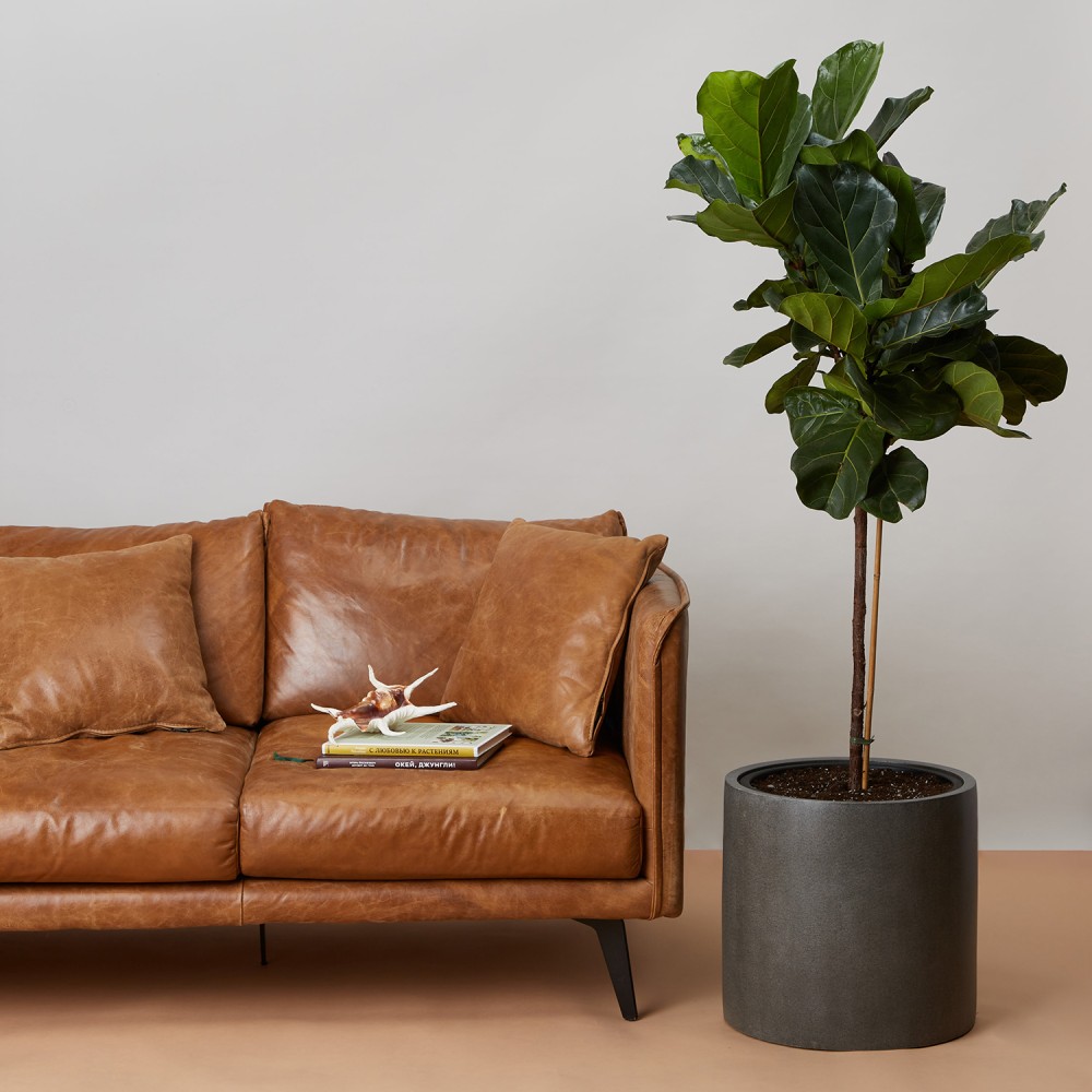 Кашпо Цилиндр Темно-серый бетон d32