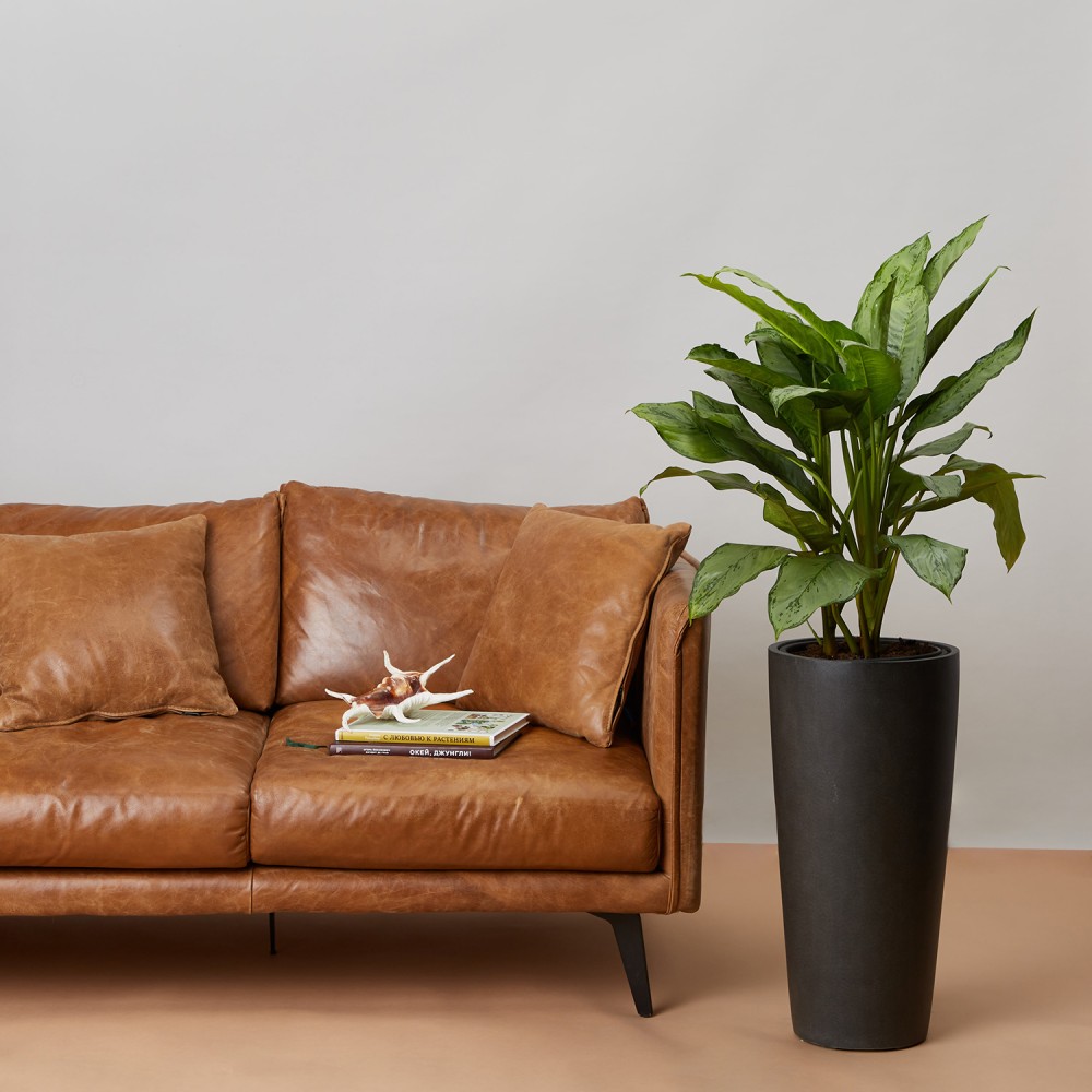 Кашпо Высокий конус Темно-серый бетон d23 Кашпо Высокий конус Темно-серый бетон d23