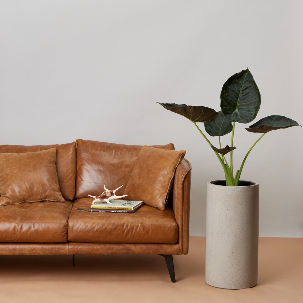 Кашпо Высокий цилиндр Белый песок d23 Кашпо Высокий цилиндр Белый песок d23