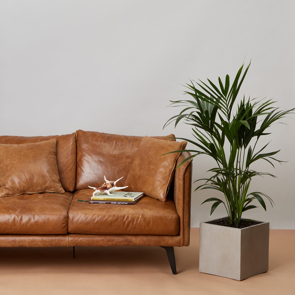 Кашпо куб темно-серый бетон d24