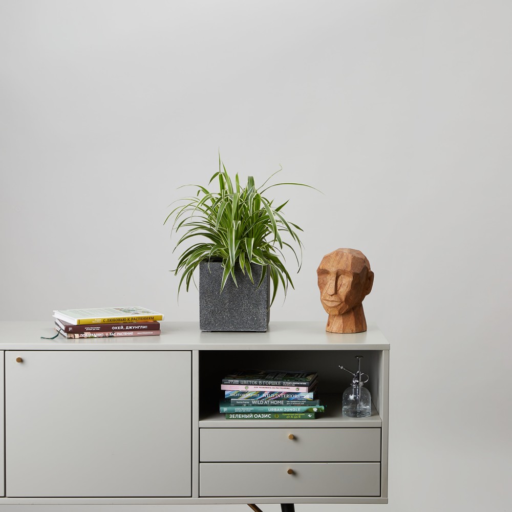 Кашпо куб темно-серый камень d14