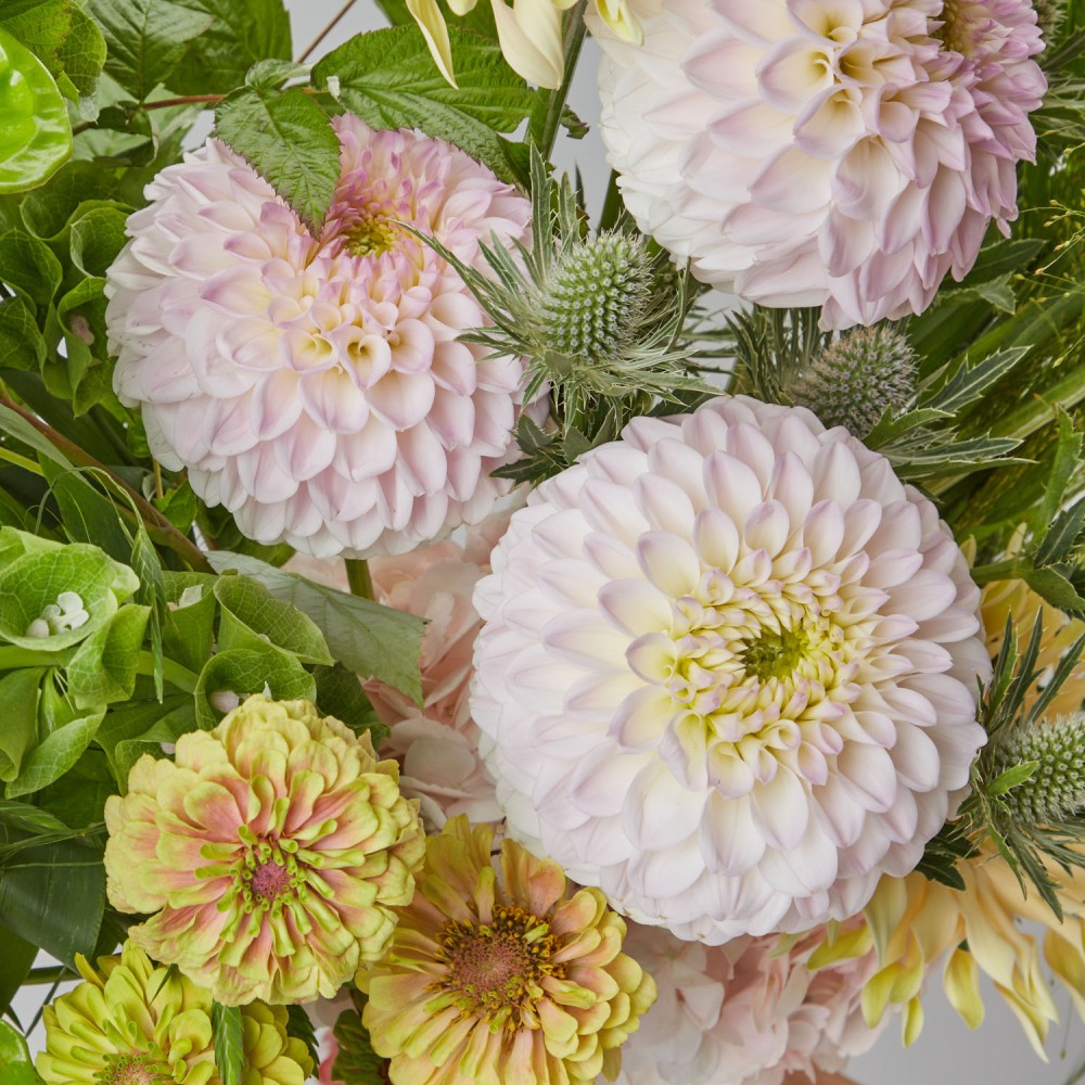 The Silk Touch 048 The Silk Touch 048