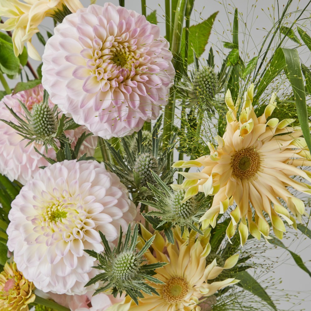 The Silk Touch 048 The Silk Touch 048