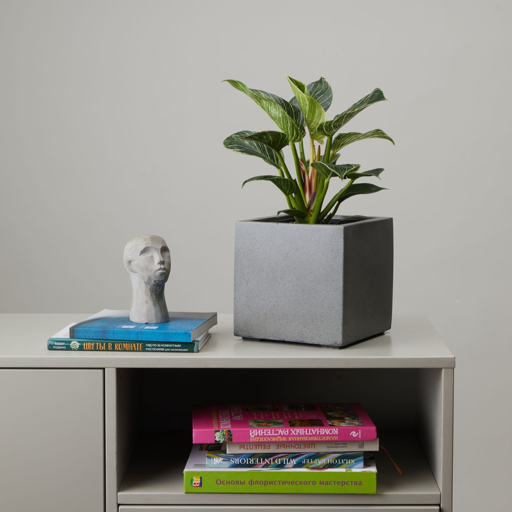 Кашпо куб темно-серый бетон d14