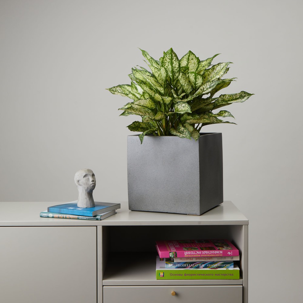 Кашпо куб темно-серый бетон d24